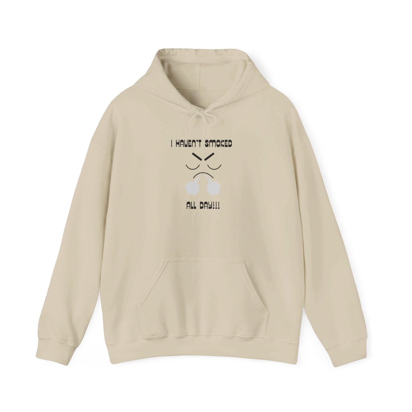 I haven't smoked all day hooded sweatshirt