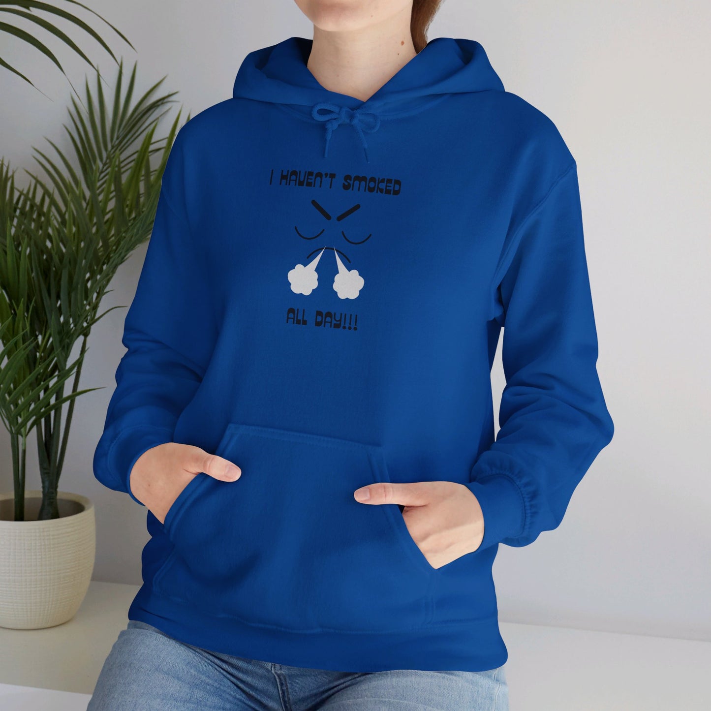 I haven't smoked all day hooded sweatshirt