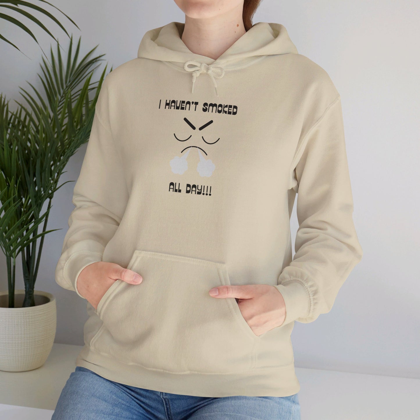 I haven't smoked all day hooded sweatshirt