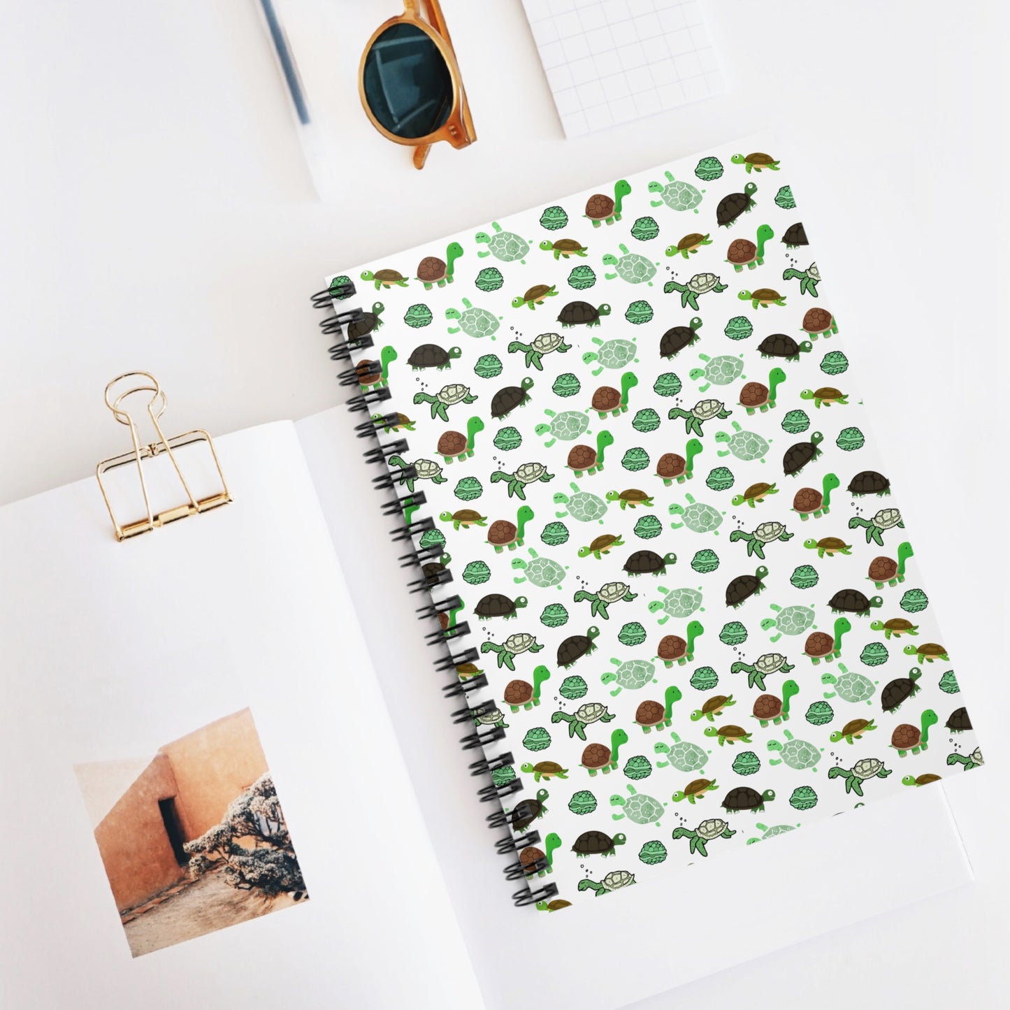 Turtle spiral notebook- ruled line