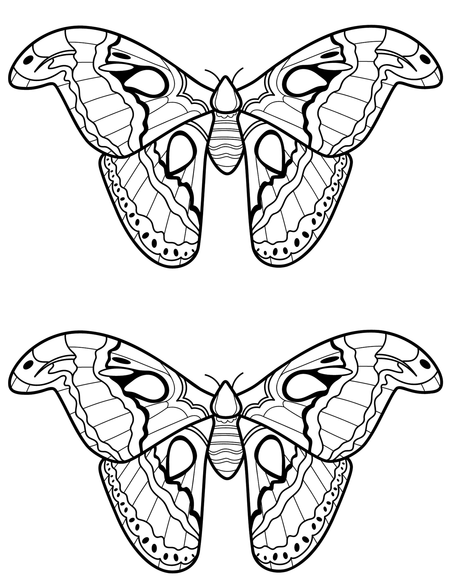 Butterfly coloring page digital download available now